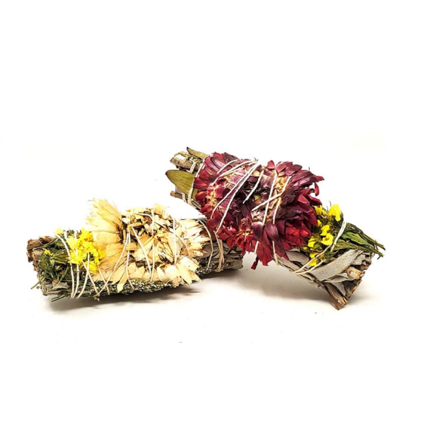 Sauge blanche, eucalyptus dollar rouge, fleur nuageuse et sinuata violette 4"